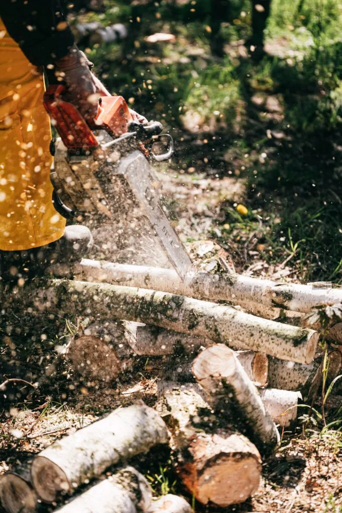 Tree Removal Wollongong